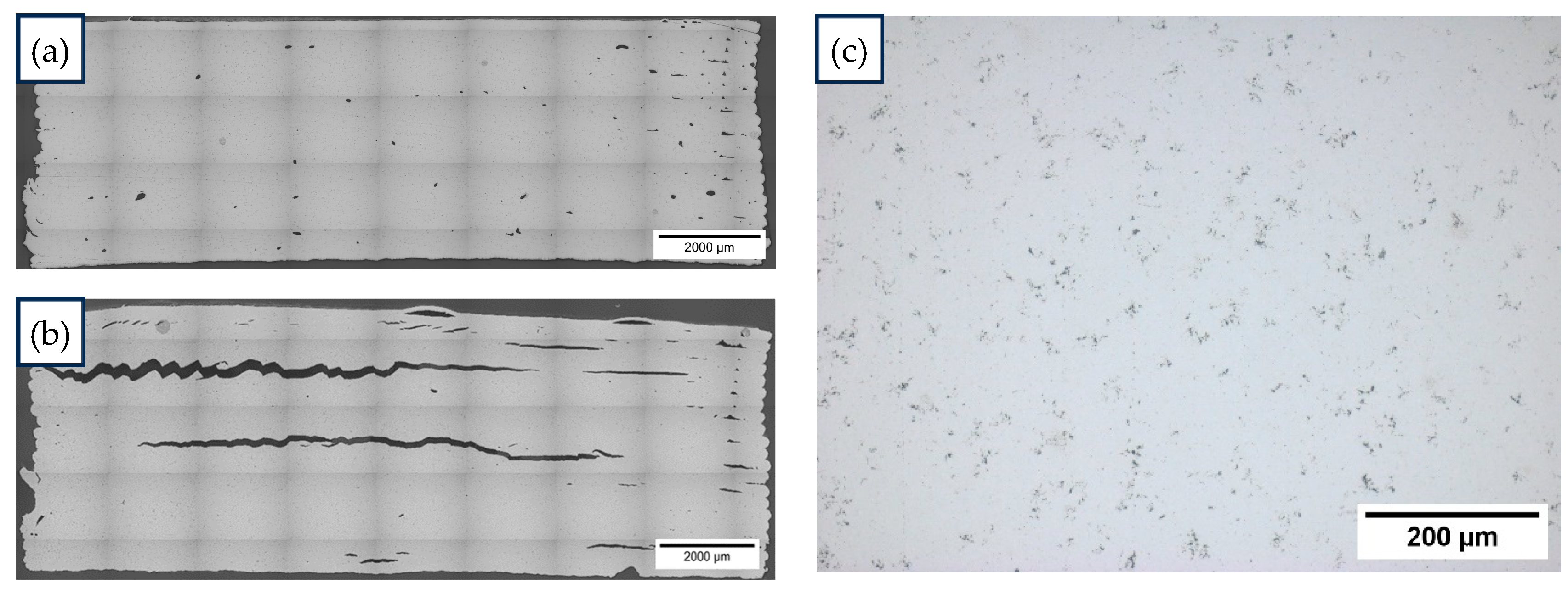 Optical micrographs of sintered WC-Co hardmetal showing pore and layer defects at overview and 200x magnification
